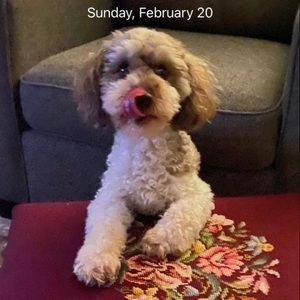 Meet your Posher, Lise